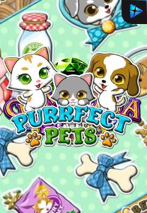 Bocoran RTP PURRFECT PETS di BENTO188 Generator RTP SLOT GACOR 4D Live Dengan Pola Akurat Dan Lengkap