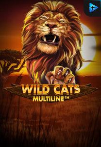 Bocoran RTP Wild Cat Multiline di BENTO188 Generator RTP SLOT GACOR 4D Live Dengan Pola Akurat Dan Lengkap